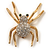 Sparkling Spider Brooch (Gold Tone)