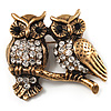 Two Crystal Sitting Owls Brooch (Antique Gold Tone)