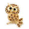 Cute Citrine Diamante 'Owl On The Branch' Brooch In Bright Gold Tone Metal - 45mm Length