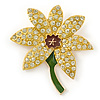 Yellow/ Green Enamel Crystal Daffodil Brooch In Gold Plating - 55mm L