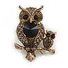 Vintage Inspired Mother and Baby Owl Crystal Brooch In Antique Gold Tone - 50mm Tall