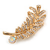 Clear/ AB Crystal Feather Brooch In Gold Tone -  45mm Long