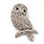 'Wise Owl' Clear Crystal Brooch (Silver Tone Metal)