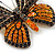 Black, Orange Austrian Crystal 'Tiger' Butterfly Brooch In Gold Plating - 50mm Length - view 4