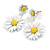 Matt White/Yellow Daisy Flower Drop Earrings - 40mm L - view 7