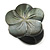 25mm/Light Grey Flower Shape Sea Shell Ring/Handmade/ Slight Variation In Colour/Natural Irregularities